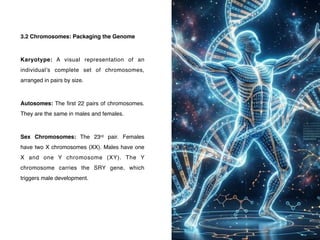 Comprehensive Lecture Series on Human Biology, Cell Structure, and ...