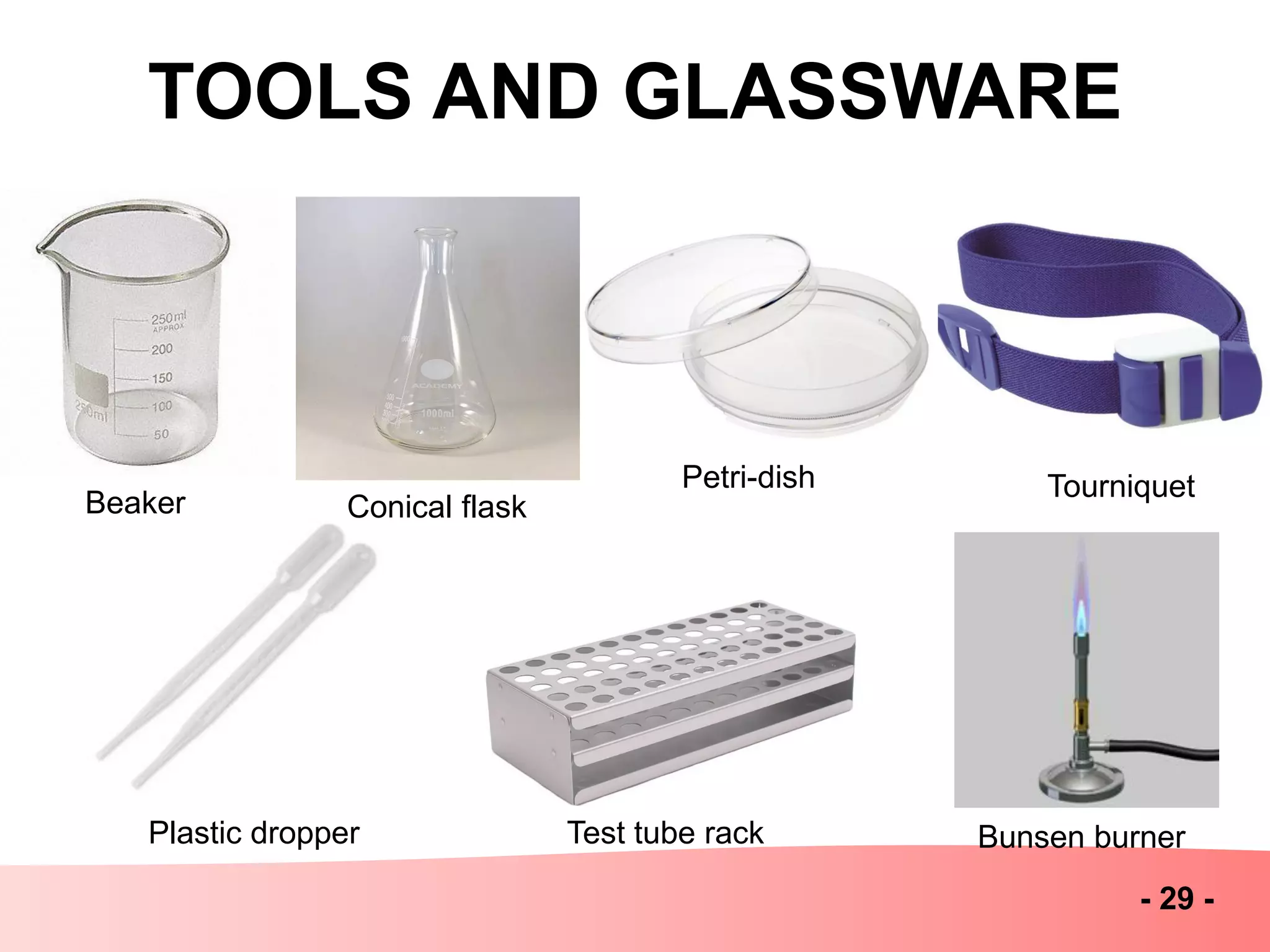 TOOLS AND GLASSWARE
- 29 -
Bunsen burnerPlastic dropper Test tube rack
Beaker Conical flask
Petri-dish Tourniquet
 