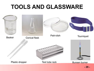TOOLS AND GLASSWARE
- 29 -
Bunsen burnerPlastic dropper Test tube rack
Beaker Conical flask
Petri-dish Tourniquet
 