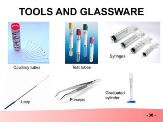 TOOLS AND GLASSWARE
- 30 -
Capillary tubes Test tubes
Syringes
Graduated
cylinderForceps
Loop
 