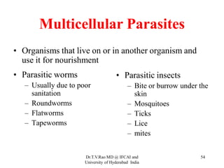 Multicellular Parasites
• Organisms that live on or in another organism and
use it for nourishment
• Parasitic worms
– Usually due to poor
sanitation
– Roundworms
– Flatworms
– Tapeworms
• Parasitic insects
– Bite or burrow under the
skin
– Mosquitoes
– Ticks
– Lice
– mites
Dr.T.V.Rao MD @ IFCAI and
University of Hyderabad India
54
 