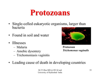 Protozoans
• Single-celled eukaryotic organisms, larger than
bacteria
• Found in soil and water
• Illnesses
– Malaria
– Amebic dysentery
– Trichomoniasis vaginitis
• Leading cause of death in developing countries
Protozoan
Trichomonas vaginalis
Dr.T.V.Rao MD @ IFCAI and
University of Hyderabad India
55
 