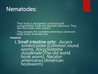 Nematodes:
• Their body is elongated, cylindrical and
unsegmented. Sexes are separate (diecious). They
also lack hooks and suckers.
• They possess the complete alimentary canal and
body cavity. Examples are:
Intestinal
i. Small intestine only: Ascaris
lumbricoides (Common round
worm), Ancyclostoma
duodenale (The old world
hook worm), Necator
americanus (American
hookworm)
 
