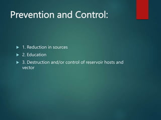 Prevention and Control:
 1. Reduction in sources
 2. Education
 3. Destruction and/or control of reservoir hosts and
vector
 