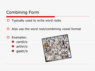 Introduction to Medical Terminology | PPT