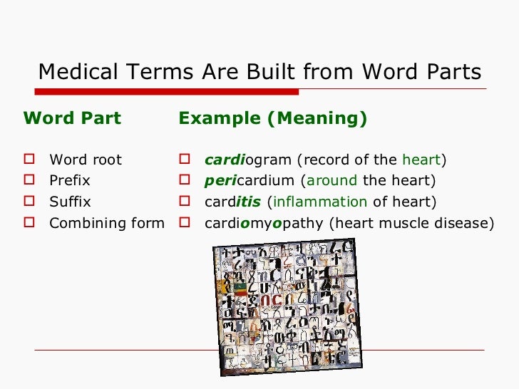 introduction to medical terminology combining form meaning nucleus