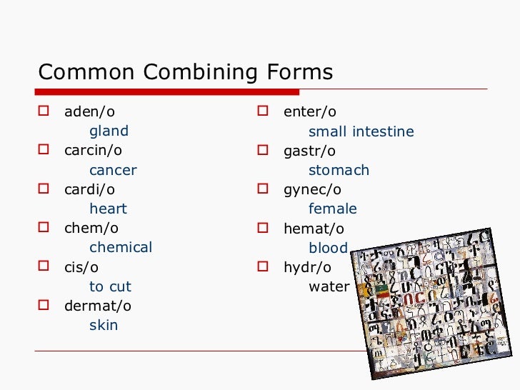 introduction to medical terminology what is a combining form meaning skin