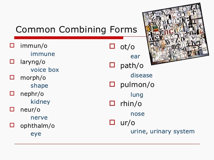 introduction to medical terminology combining form examples