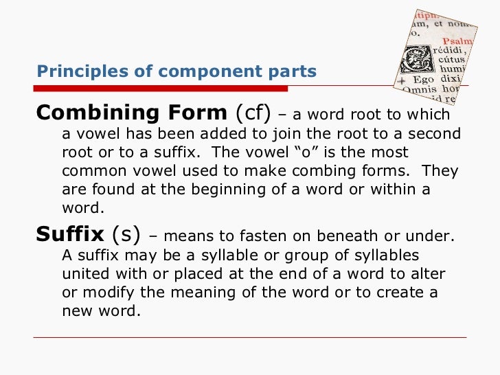 introduction to medical terminology combining form meaning nucleus