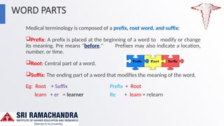 Introduction to Medical Terminology.pptx