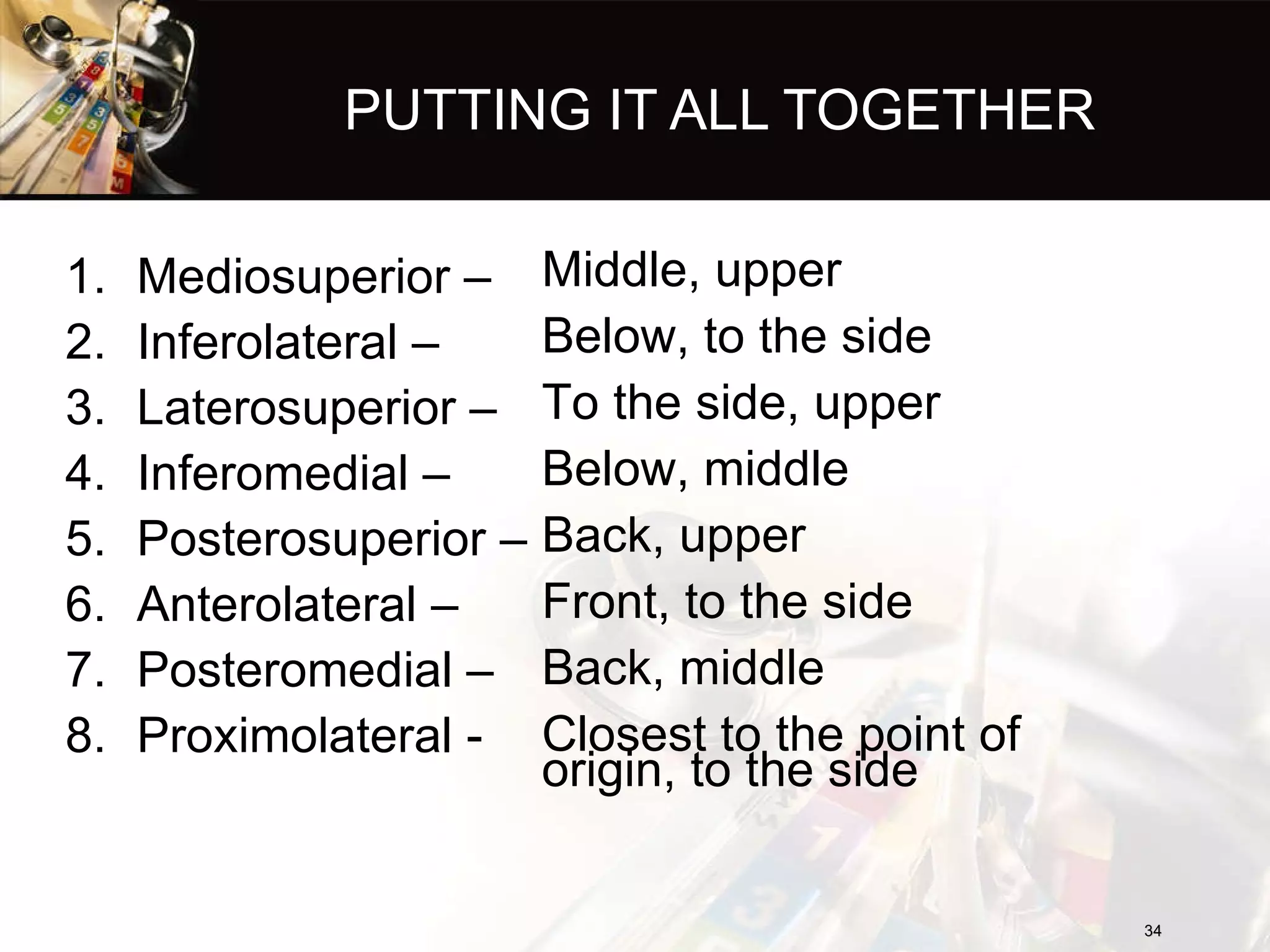 PUTTING IT ALL TOGETHER Mediosuperior – Inferolateral – Laterosuperior – Inferomedial – Posterosuperior – Anterolateral – Posteromedial – Proximolateral - Middle, upper Below, to the side To the side, upper Below, middle Back, upper Front, to the side Back, middle Closest to the point of origin, to the side 