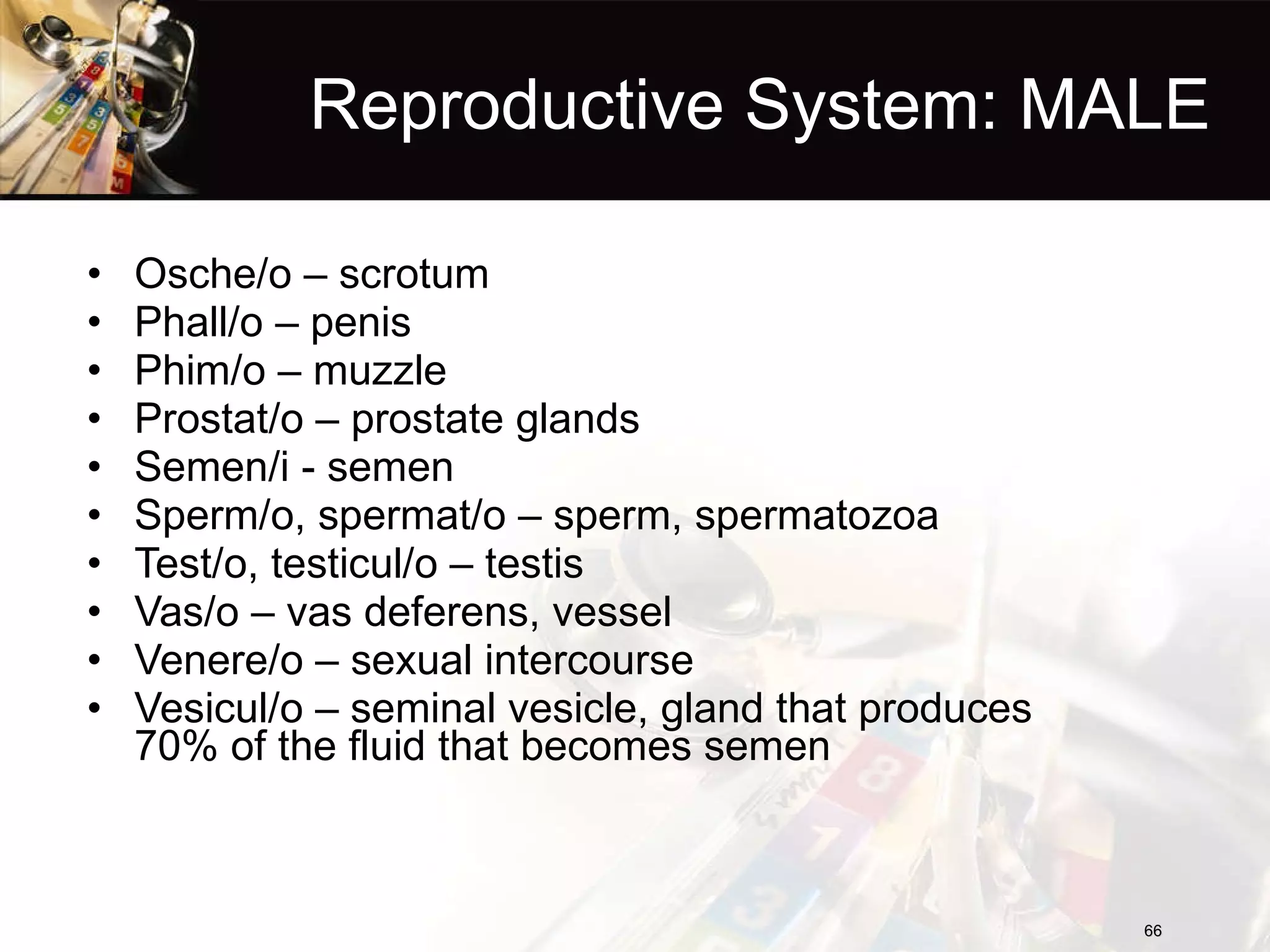 Reproductive System: MALE Osche/o – scrotum Phall/o – penis Phim/o – muzzle Prostat/o – prostate glands Semen/i - semen Sperm/o, spermat/o – sperm, spermatozoa Test/o, testicul/o – testis Vas/o – vas deferens, vessel Venere/o – sexual intercourse Vesicul/o – seminal vesicle, gland that produces 70% of the fluid that becomes semen 