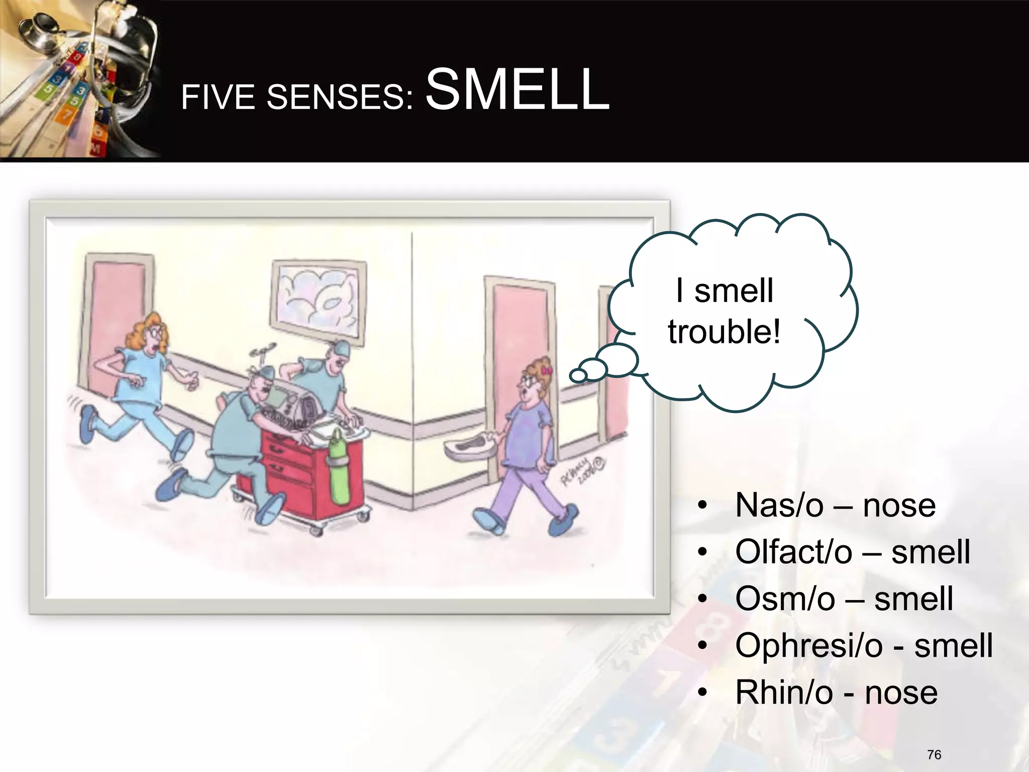 FIVE SENSES:  SMELL Nas/o – nose Olfact/o – smell Osm/o – smell Ophresi/o - smell Rhin/o - nose I smell trouble! 