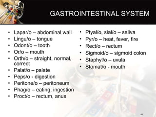 GASTROINTESTINAL SYSTEM <ul><li>Lapar/o – abdominal wall </li></ul><ul><li>Lingu/o – tongue </li></ul><ul><li>Odont/o – to...
