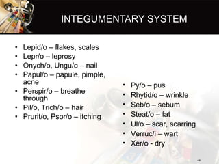 INTEGUMENTARY SYSTEM <ul><li>Lepid/o – flakes, scales </li></ul><ul><li>Lepr/o – leprosy </li></ul><ul><li>Onych/o, Ungu/o...