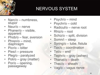 NERVOUS SYSTEM <ul><li>Narc/o – numbness, stupor </li></ul><ul><li>Neur/o – nerve </li></ul><ul><li>Phaner/o – visible, ap...
