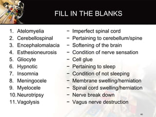 FILL IN THE BLANKS <ul><li>Atelomyelia </li></ul><ul><li>Cerebellospinal  </li></ul><ul><li>Encephalomalacia  </li></ul><u...