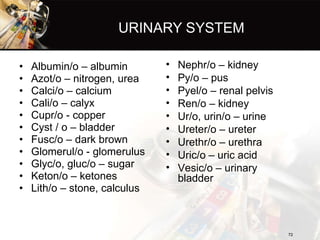 URINARY SYSTEM <ul><li>Albumin/o – albumin </li></ul><ul><li>Azot/o – nitrogen, urea </li></ul><ul><li>Calci/o – calcium <...