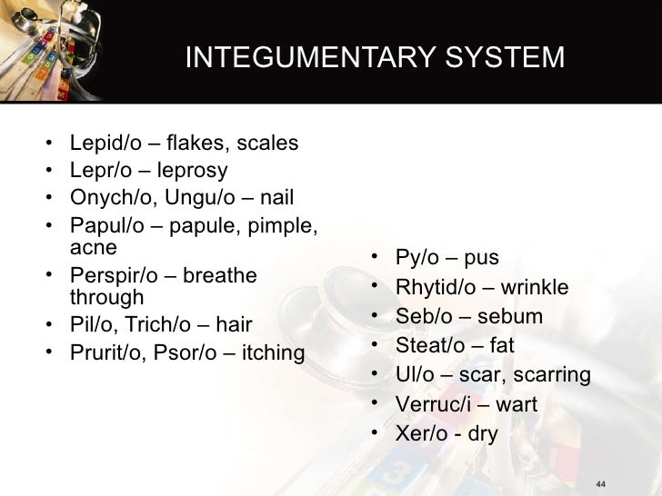 Introduction to medical terminology