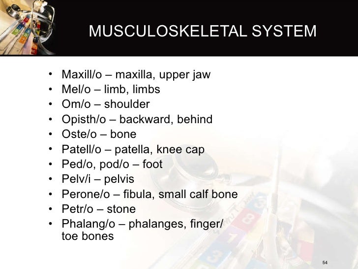Introduction to medical terminology Introduction to medical terminology