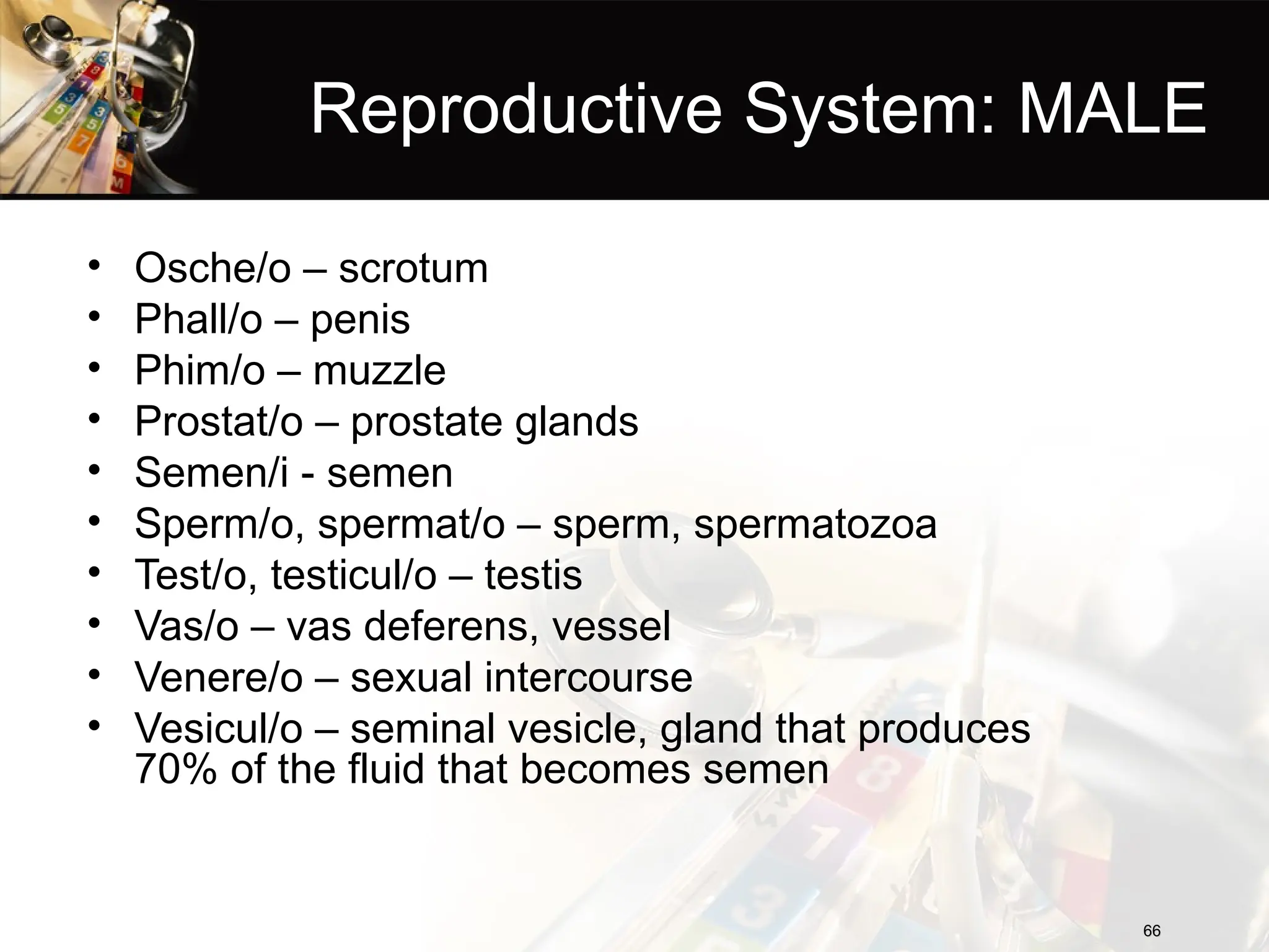 Reproductive System: MALE
• Osche/o – scrotum
• Phall/o – penis
• Phim/o – muzzle
• Prostat/o – prostate glands
• Semen/i - semen
• Sperm/o, spermat/o – sperm, spermatozoa
• Test/o, testicul/o – testis
• Vas/o – vas deferens, vessel
• Venere/o – sexual intercourse
• Vesicul/o – seminal vesicle, gland that produces
70% of the fluid that becomes semen
66
66
 