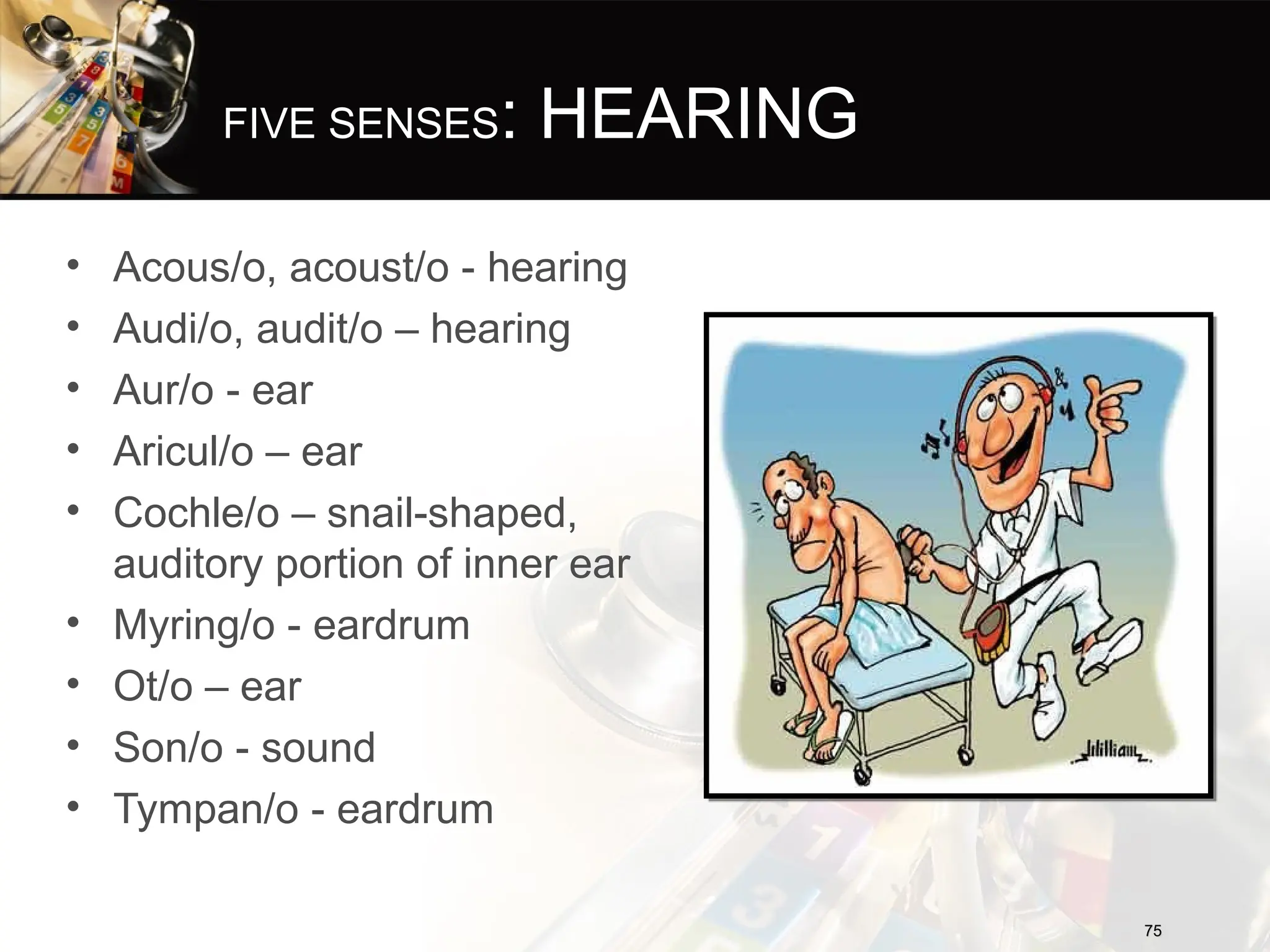 FIVE SENSES: HEARING
• Acous/o, acoust/o - hearing
• Audi/o, audit/o – hearing
• Aur/o - ear
• Aricul/o – ear
• Cochle/o – snail-shaped,
auditory portion of inner ear
• Myring/o - eardrum
• Ot/o – ear
• Son/o - sound
• Tympan/o - eardrum
75
75
 