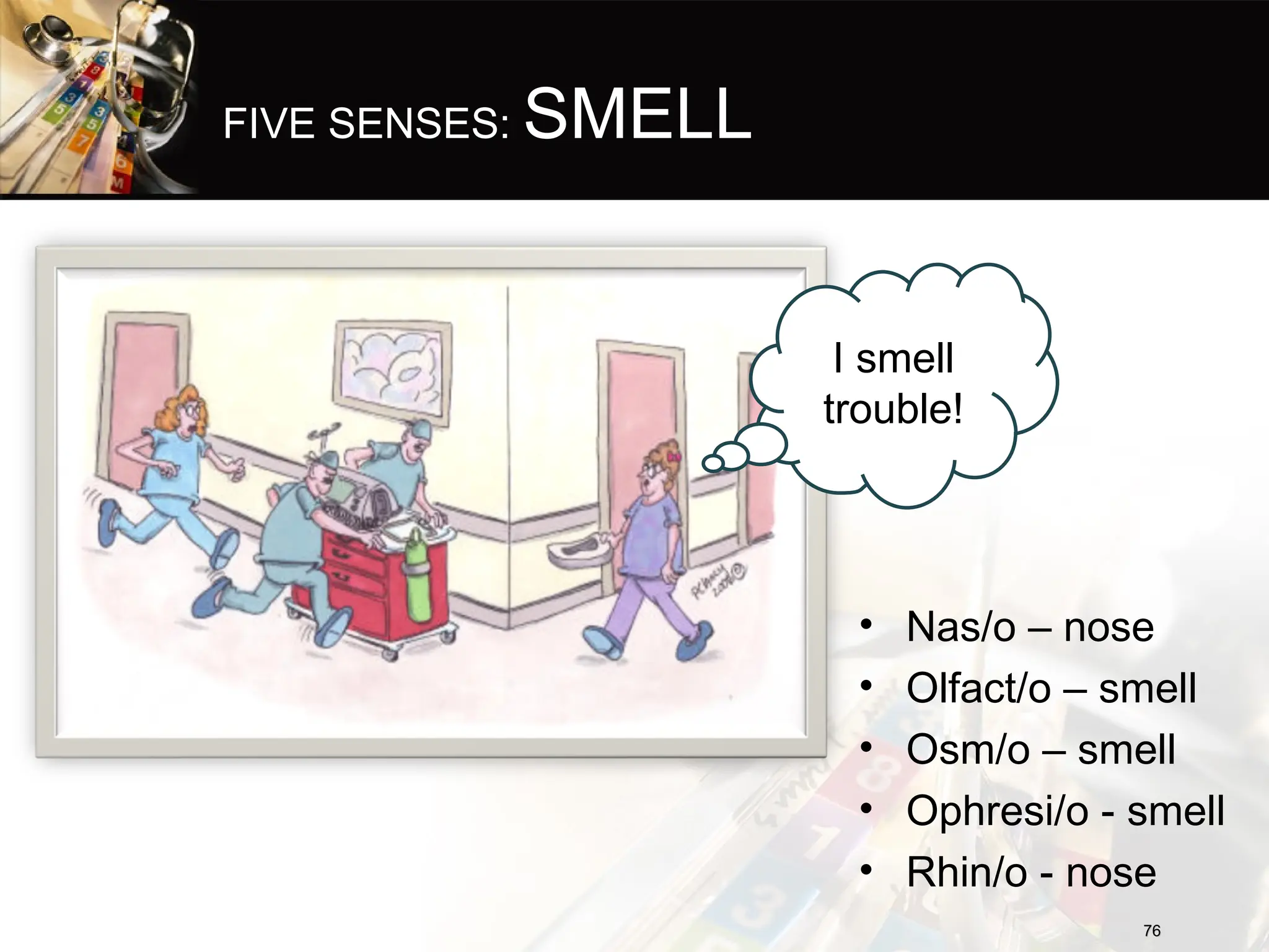 FIVE SENSES: SMELL
• Nas/o – nose
• Olfact/o – smell
• Osm/o – smell
• Ophresi/o - smell
• Rhin/o - nose
76
76
I smell
trouble!
 