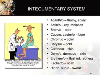 introductiontomedicalterminology-hssedition11-2009-111102154411 ...