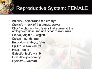 Introduction to medical terminology hss edition 11-2009 | PPT