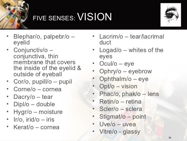 define haphephobia terminology to 11 hss 2009 medical Introduction edition define haphephobia terminology to 11 hss 2009 medical Introduction edition
