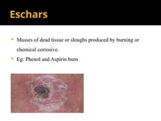 Eschar Examples introduction to Oral Medicine and Radiology | PPTX