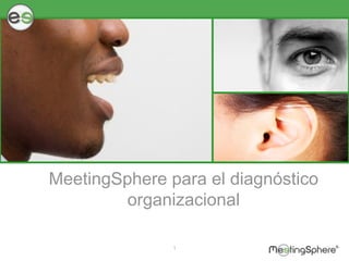 MeetingSphere para el diagnóstico 
organizacional 
1 
 
