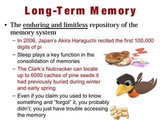 L ong-T erm M em ory
• The enduring and limitless repository of the
memory system
– In 2006, Japan’s Akira Haraguchi recited the first 100,000
digits of pi
– Sleep plays a key function in the
consolidation of memories
– The Clark’s Nutcracker can locate
up to 6000 caches of pine seeds it
had previously buried during winter
and early spring
– Even if you claim you used to know
something and “forgot” it, you probably
didn’t; you just have trouble accessing
the memory
 