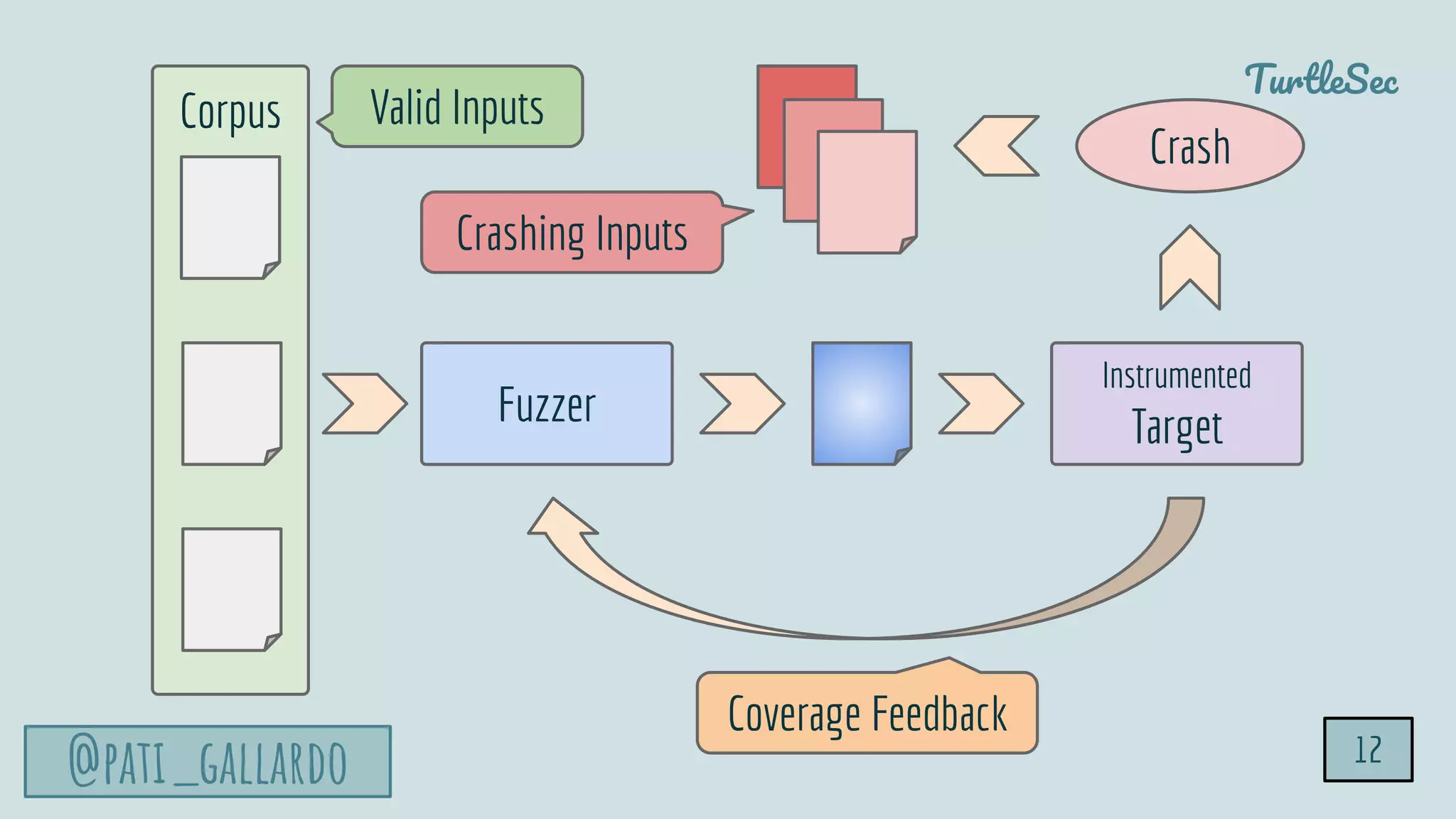 TurtleSec
@pati_gallardo
Corpus
Fuzzer
Instrumented
Target
Valid Inputs
Crash
Crashing Inputs
Coverage Feedback
12
 