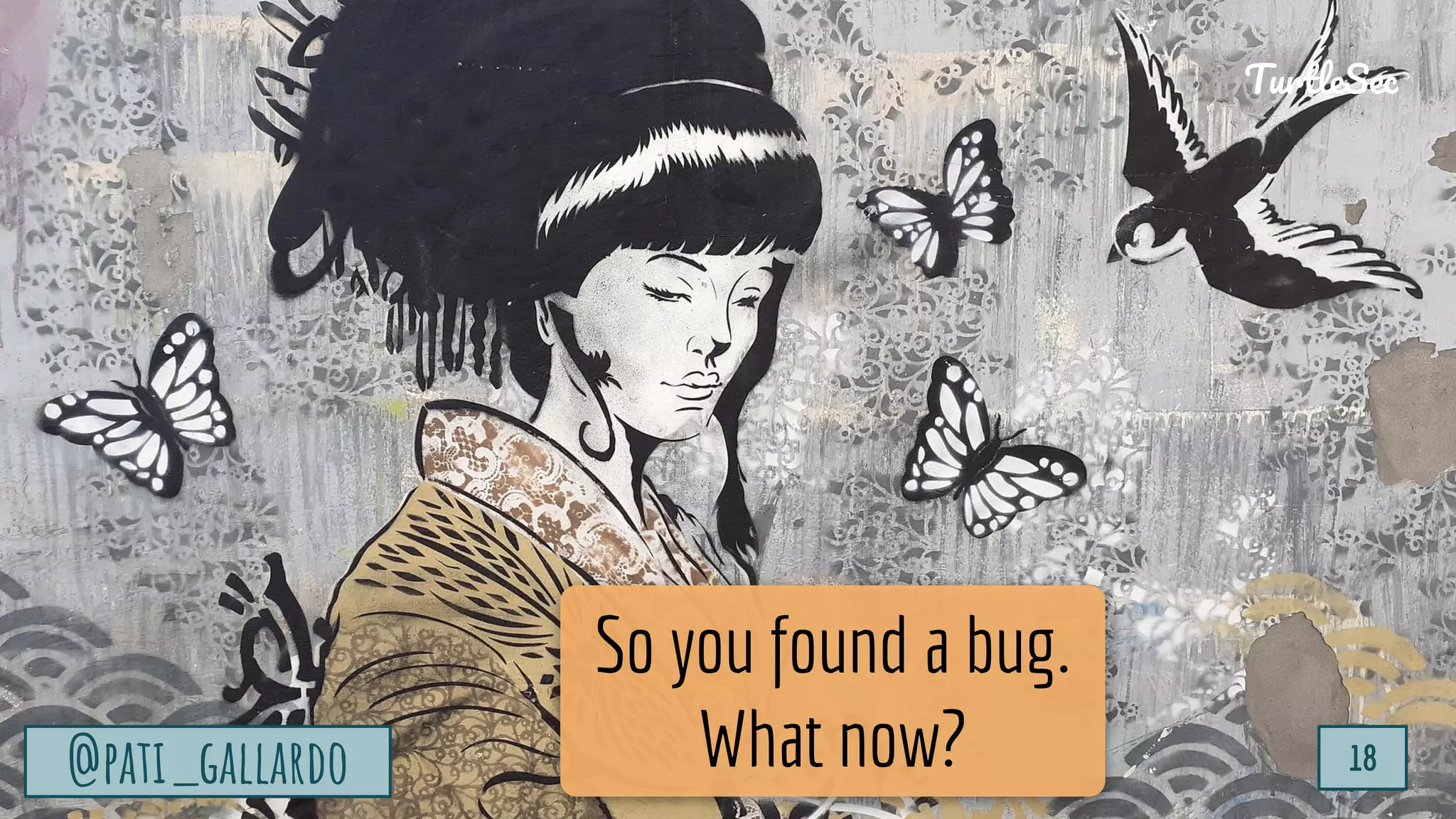 TurtleSec
@pati_gallardo 18
So you found a bug.
What now?
@pati_gallardo 18
TurtleSec
 