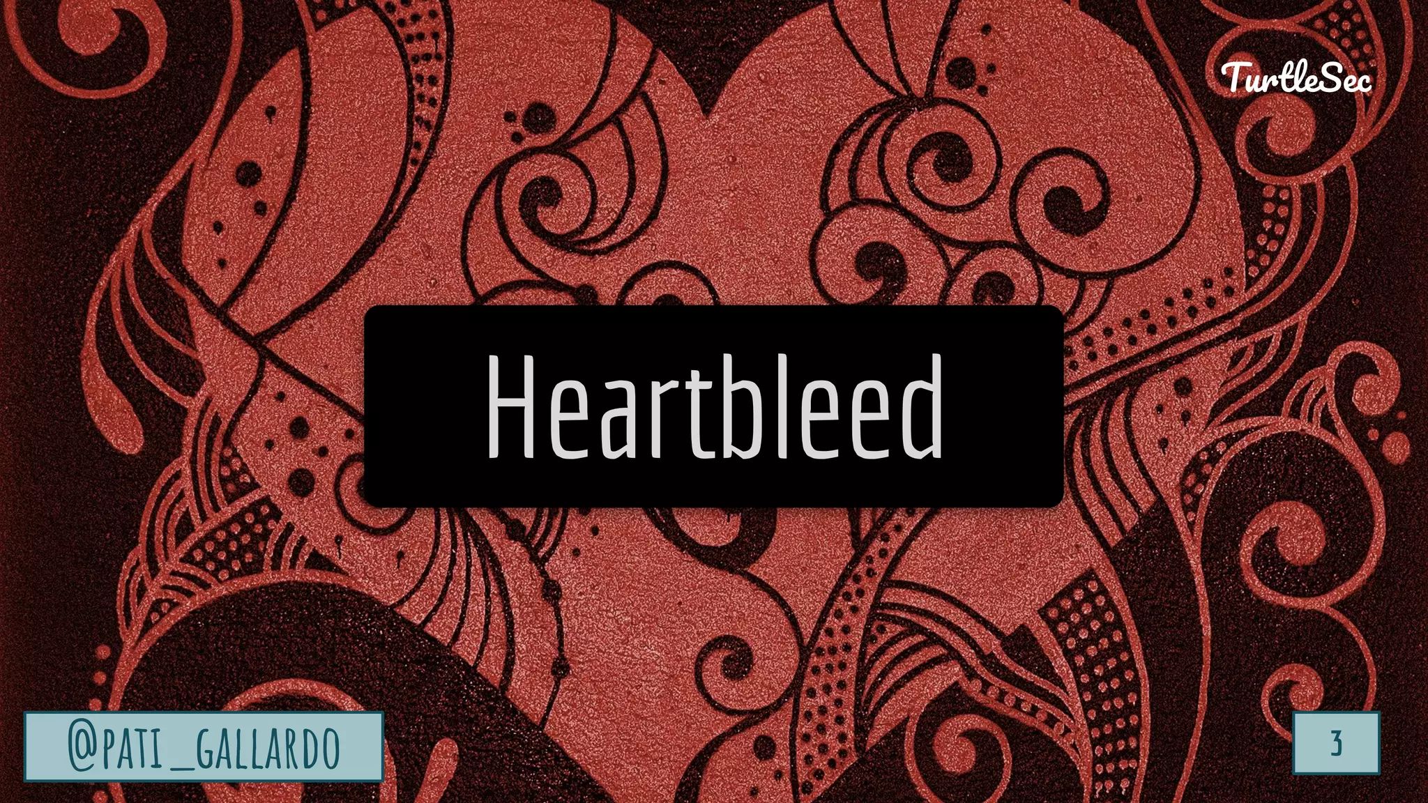 TurtleSec
@pati_gallardo 3
Heartbleed
@pati_gallardo 3
TurtleSec
 