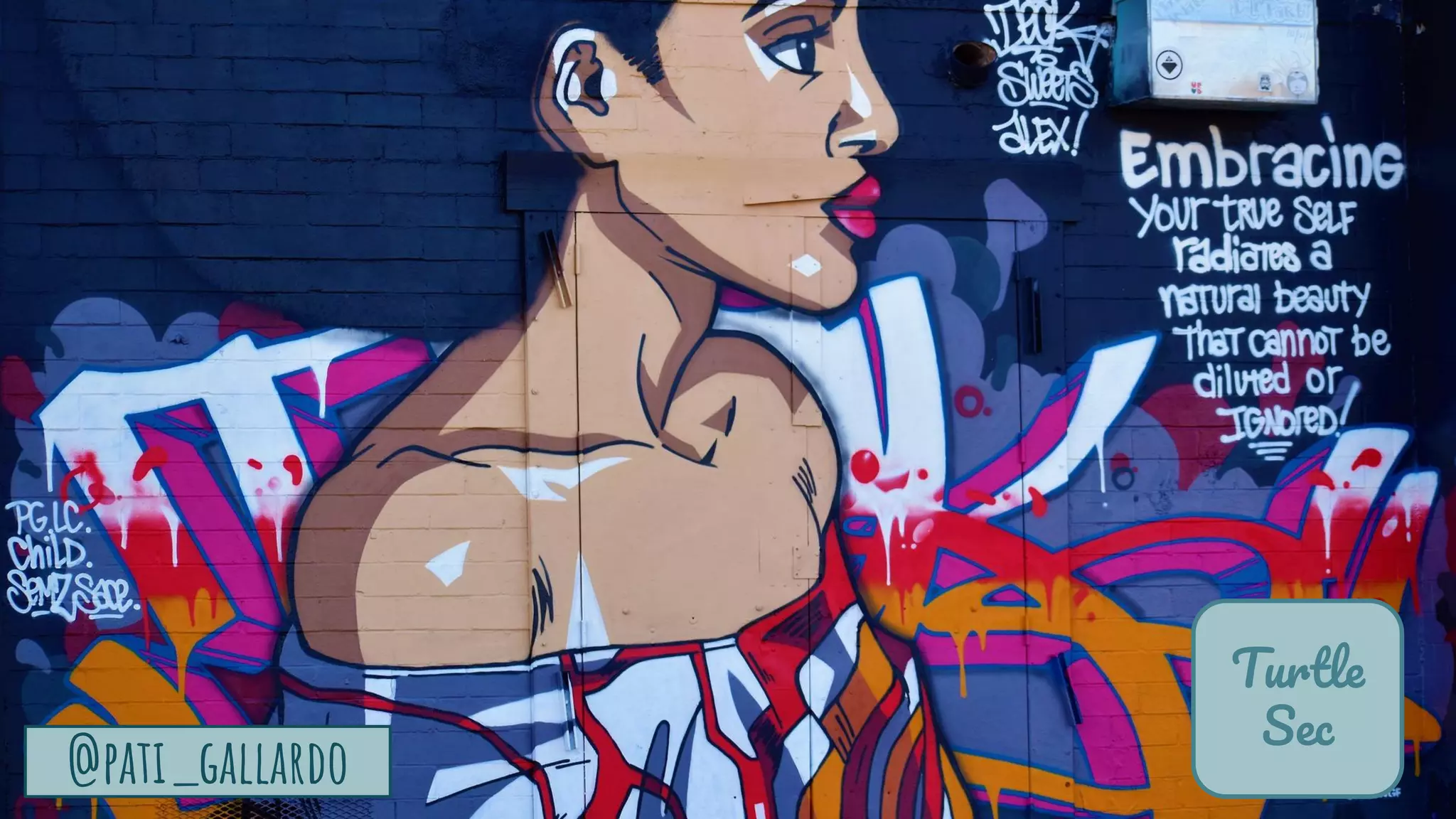 TurtleSec
@pati_gallardo 67
Turtle
Sec
@pati_gallardo
 