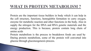INTRODUCTION TO METABOLISM OF PROTEIN AND AMINO ACIDS | PPTX