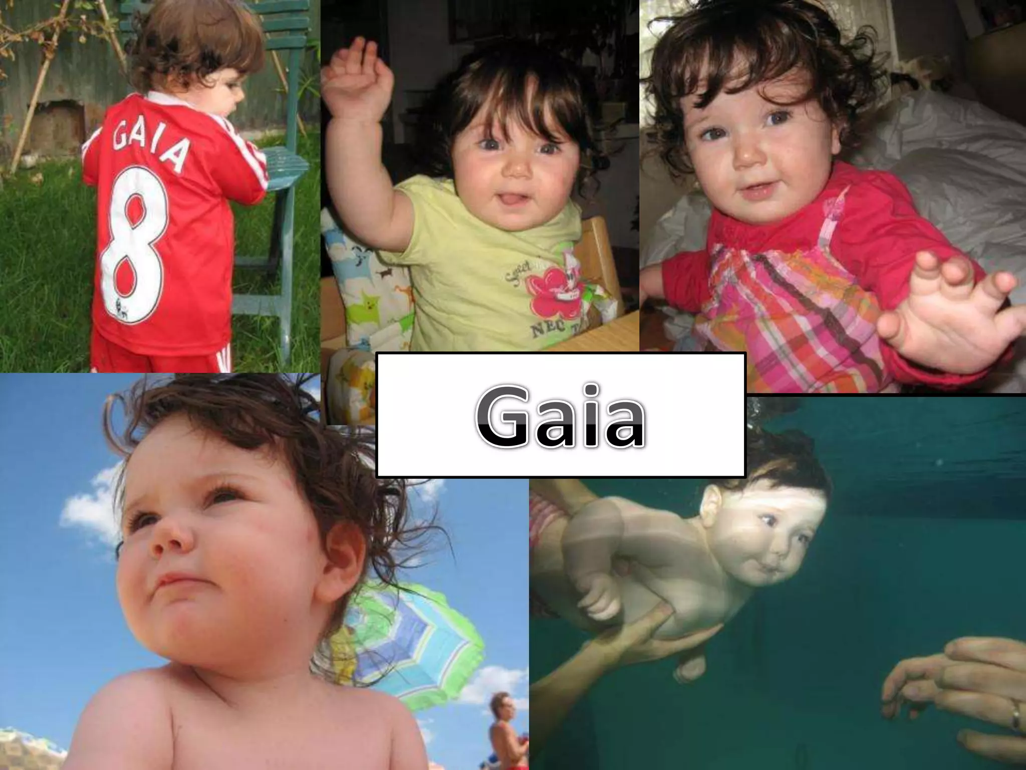 Gaia