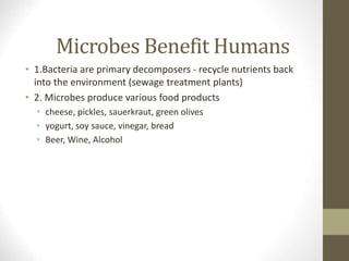 Microbes Benefit Humans
• 1.Bacteria are primary decomposers - recycle nutrients back
into the environment (sewage treatment plants)
• 2. Microbes produce various food products
• cheese, pickles, sauerkraut, green olives
• yogurt, soy sauce, vinegar, bread
• Beer, Wine, Alcohol
 