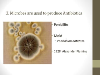 3. Microbesare usedto produceAntibiotics
• Penicillin
• Mold
• Penicillium notatum
• 1928 Alexander Fleming
 