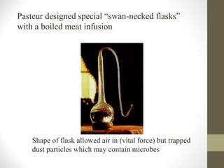 Pasteur designed special “swan-necked flasks”
with a boiled meat infusion
Shape of flask allowed air in (vital force) but trapped
dust particles which may contain microbes
 