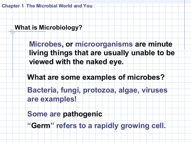 Image result for introduction to microbiology