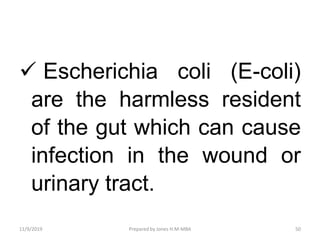  Escherichia coli (E-coli)
are the harmless resident
of the gut which can cause
infection in the wound or
urinary tract.
11/9/2019 50Prepared by Jones H.M-MBA
 
