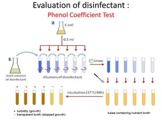 Evaluation of disinfectant :
Phenol Coefficient Test
 