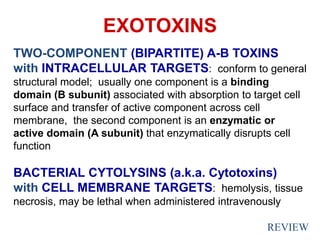 EXOTOXINS
TWO-COMPONENT (BIPARTITE) A-B TOXINS
with INTRACELLULAR TARGETS: conform to general
structural model; usually one component is a binding
domain (B subunit) associated with absorption to target cell
surface and transfer of active component across cell
membrane, the second component is an enzymatic or
active domain (A subunit) that enzymatically disrupts cell
function
BACTERIAL CYTOLYSINS (a.k.a. Cytotoxins)
with CELL MEMBRANE TARGETS: hemolysis, tissue
necrosis, may be lethal when administered intravenously
REVIEW
 