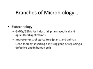 Branches of Microbiology…
• Biotechnology
– GMOs/GEMs for industrial, pharmaceutical and
agricultural applications
– Improvements of agriculture (plants and animals)
– Gene therapy: inserting a missing gene or replacing a
defective one in human cells
 