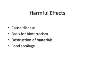 Harmful Effects
• Cause disease
• Basis for bioterrorism
• Destruction of materials
• Food spoilage
 