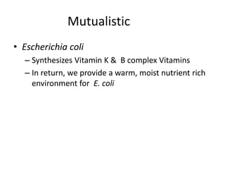 Mutualistic
• Escherichia coli
– Synthesizes Vitamin K & B complex Vitamins
– In return, we provide a warm, moist nutrient rich
environment for E. coli
 