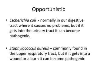 Opportunistic
• Escherichia coli - normally in our digestive
tract where it causes no problems, but if it
gets into the urinary tract it can become
pathogenic.
• Staphylococcus aureus – commonly found in
the upper respiratory tract, but if it gets into a
wound or a burn it can become pathogenic
 